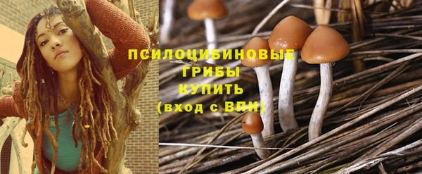 бошки Армянск