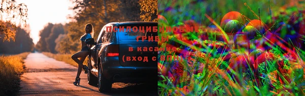 бошки Армянск