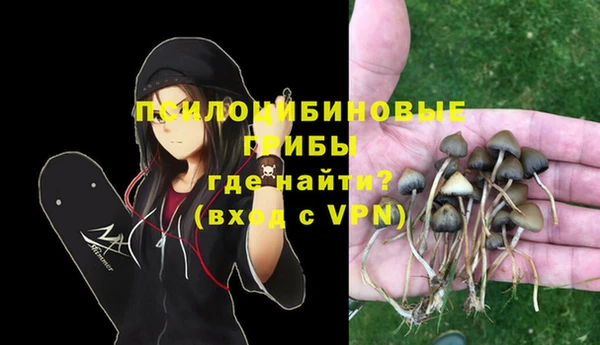 бошки Армянск